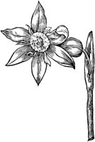 GPF071F.TIF