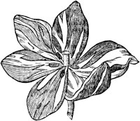 GPF059H.TIF