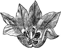 GPF057C.TIF