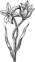 GPF053C.TIF