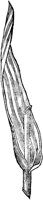 GPF053A.TIF