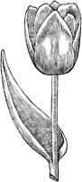 GPF047C.TIF