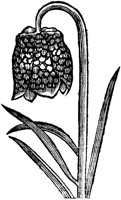 GPF041G.TIF