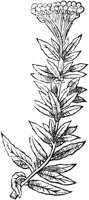 GPF481G.TIF