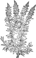 GPF475D.TIF