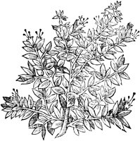 GPF451E.TIF