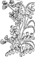 GPF443C.TIF