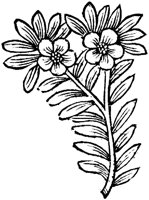 GPF429D.TIF