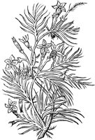 GPF409C.TIF