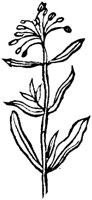 GPF387E.TIF