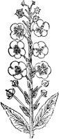 GPF387A.TIF
