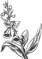 GPF381C.TIF