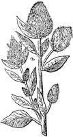 GPF373B.TIF