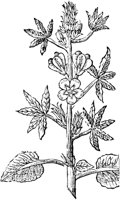 GPF367C.TIF