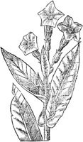 GPF361F.TIF