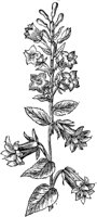 GPF355B.TIF
