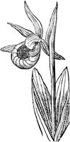 GPF343G.TIF
