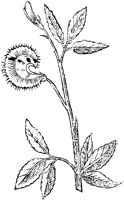 GPF337J.TIF