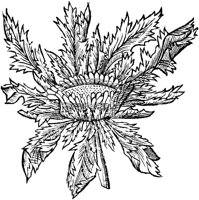 GPF331D.TIF