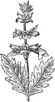 GPF331A.TIF