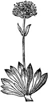 GPF321J.TIF