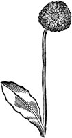 GPF321G.TIF