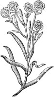 GPF321B.TIF