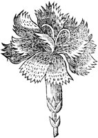 GPF313J.TIF