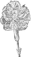 GPF313F.TIF