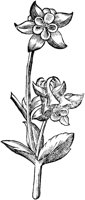 GPF273A.TIF