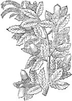 GPF601C.TIF