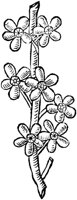 GPF581C.TIF