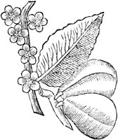 GPF577C.TIF