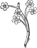 GPF573C.TIF