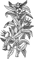GPF569C.TIF