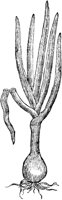 GPF511D.TIF