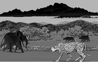 AFRICA.GIF