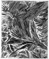 HPN024AD.TIF