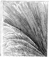 HPN024AC.TIF