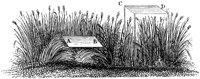 HPN023CC.TIF
