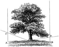 HPN023BU.TIF