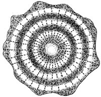 HPN023BH.TIF