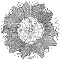 HPN023AW.TIF