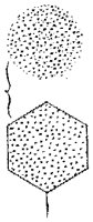 HPN023AD.TIF