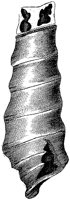 HPN038CL.TIF