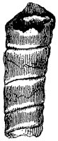 HPN038CK.TIF