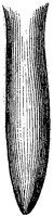 HPN038CG.TIF