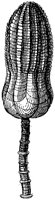 HPN038AR.TIF