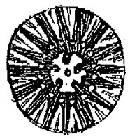 HPN038AH.TIF