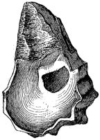 HPN038AG.TIF